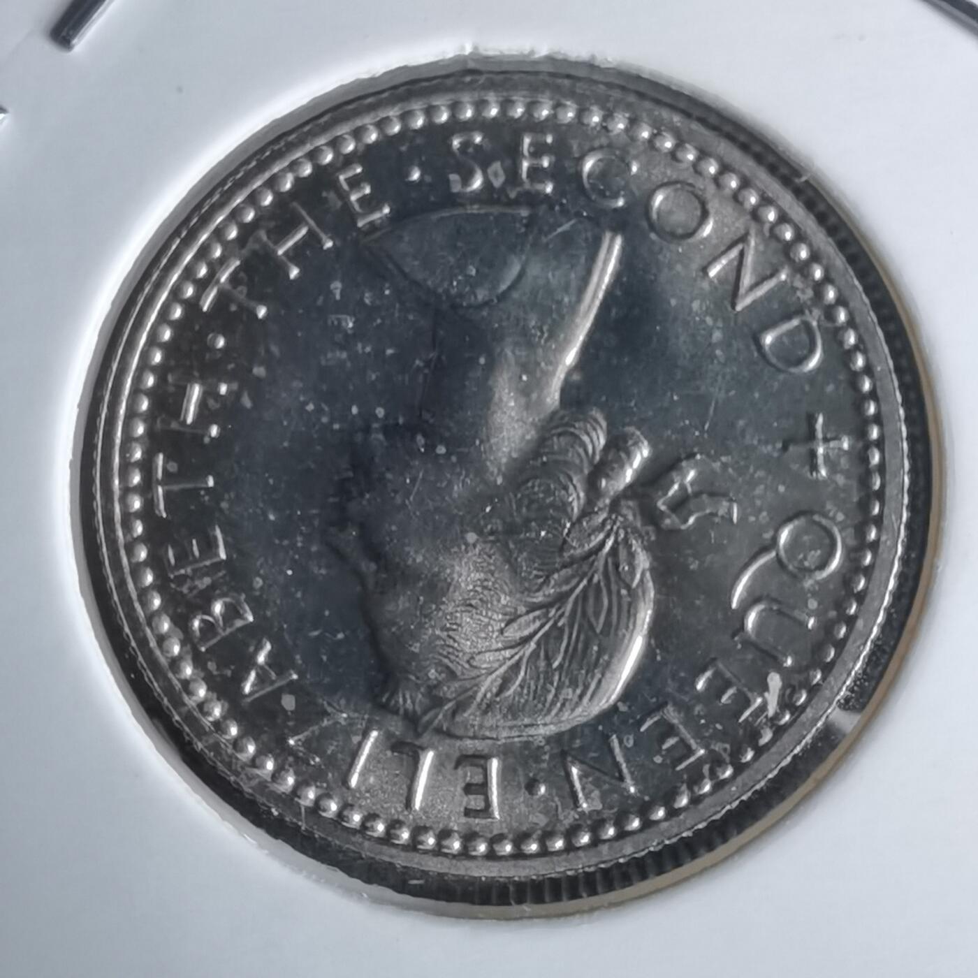 沼泽如烟--第990场