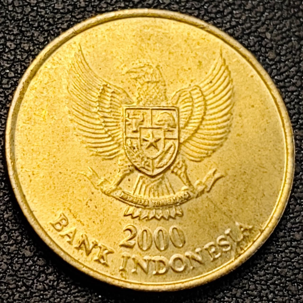 泉币菌-第188场- 精品福利场（192场和之前的 2月14日发货） 。