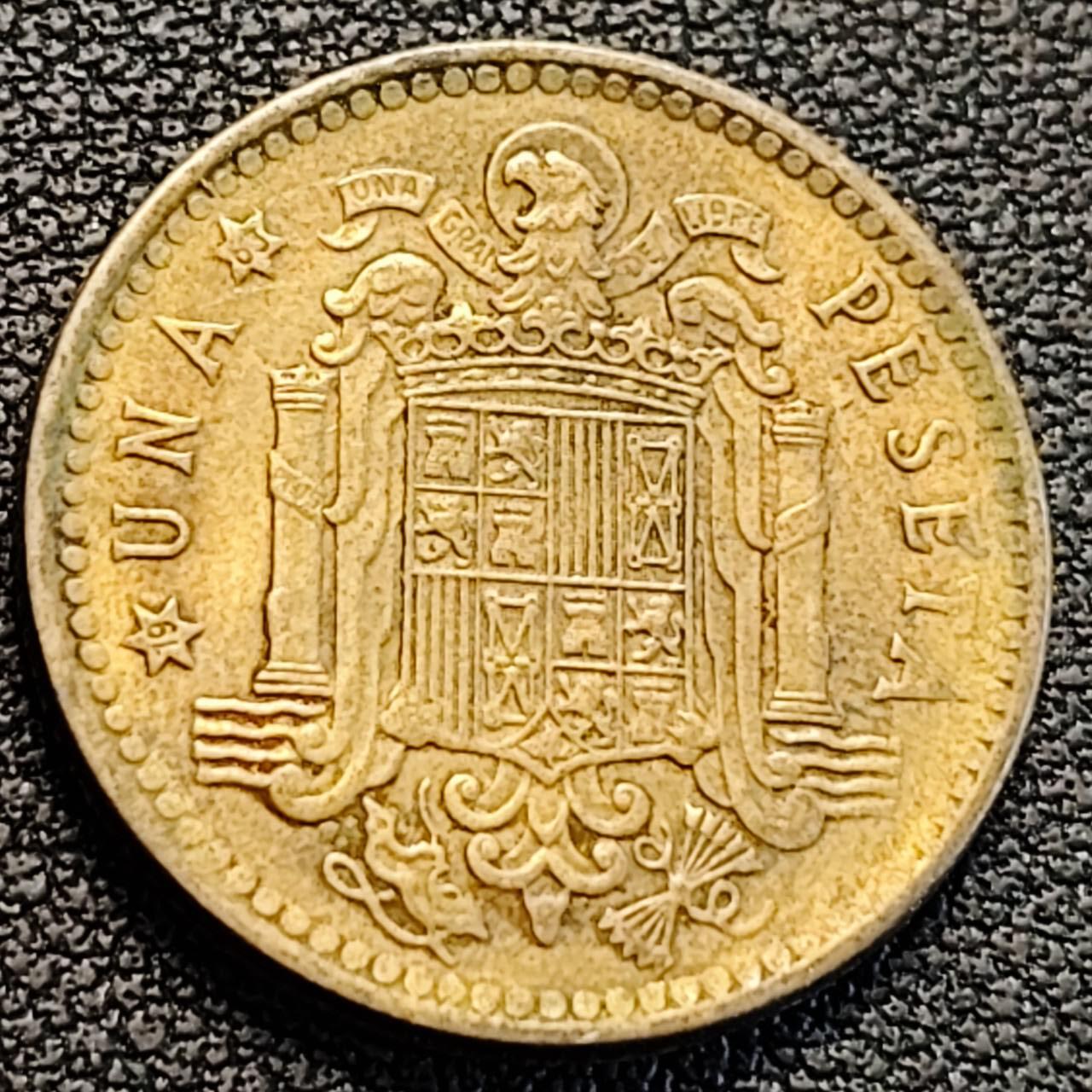 泉币菌-第186场- 小年快乐 精品福利场（本周五和之前的 2月14日发货）