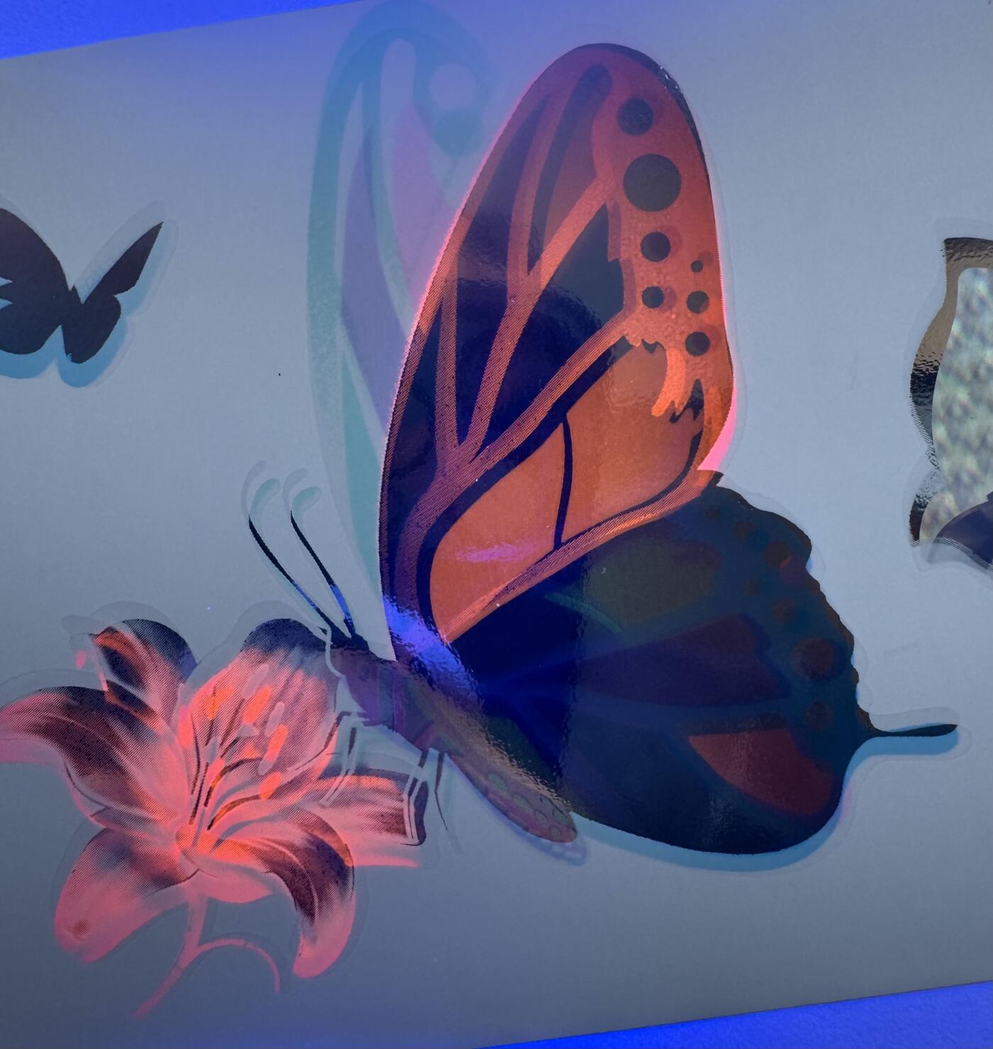 2026第3场（总第230期）：精品测试钞、外钞综合场 越南Q&T 最新PolySecure®Shield内置安全特征10面值塑料基材测试钞册装UNC（胡志明、蝴蝶、鲜花）