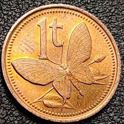 泉币菌-第189场- 情人节快乐 精品福利场 拍品较多 请提前出价（年后发货） - 铜光美品 蝴蝶鸟 翼蝶 巴布亚新几内亚 1托伊青铜币 袖珍币