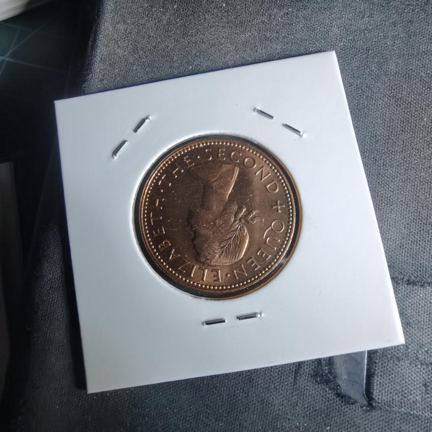 沼泽如烟--第990场