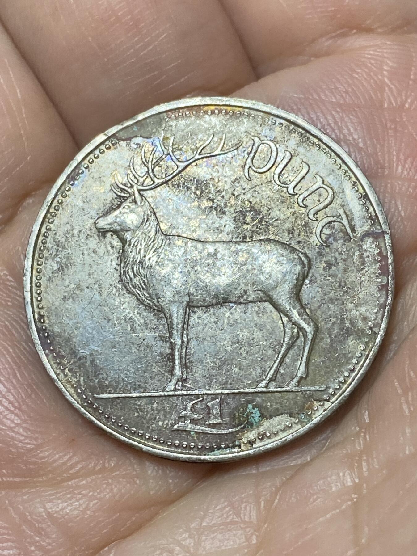 2026年第二十二场(总第一百九十一场）外国好品散币场(免佣金) 爱尔兰🇮🇪1990年1镑(共和国时期第二套)