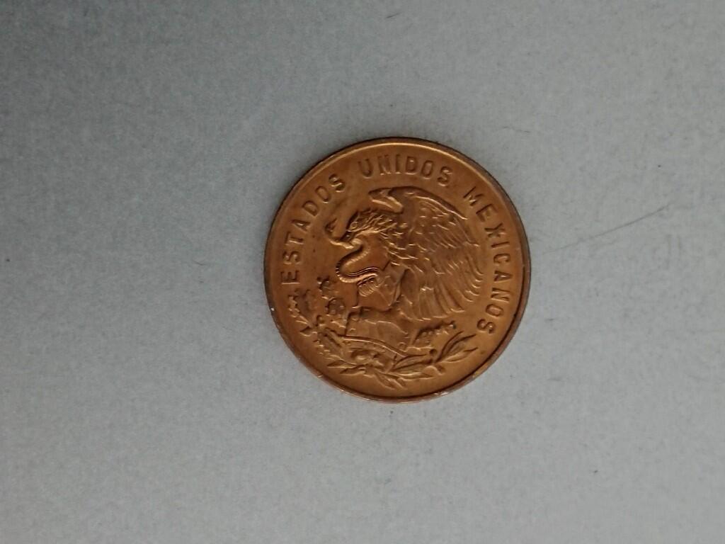 松南世界钱币——260209