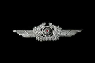 欢庆春节！戎马世界章牌大赏第112期春节大拍  德专场 - 德三空军帽徽 注意断了针