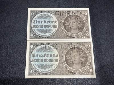 《外钞收藏家》第六百一十期（新年假期场/年后快递恢复正常再发货）（长期征集拍品、欢迎藏友们联系合作） - 波希米亚和摩拉维亚1克朗 2张样钞 1张全新一张角有折