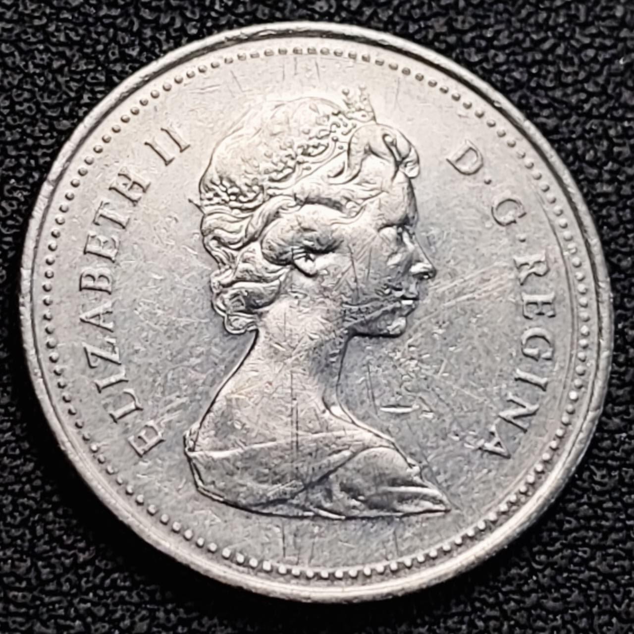 泉币菌-第186场- 小年快乐 精品福利场（本周五和之前的 2月14日发货）