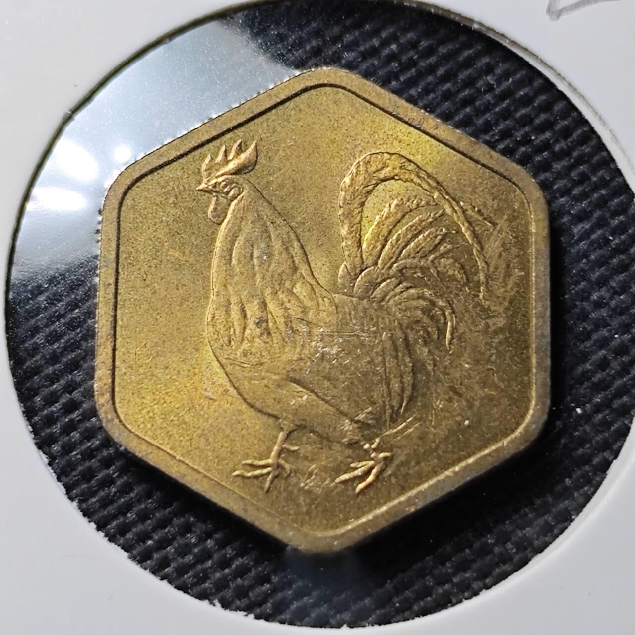 KK钱币收藏小铺  第395期  2月预留时间 周末发货