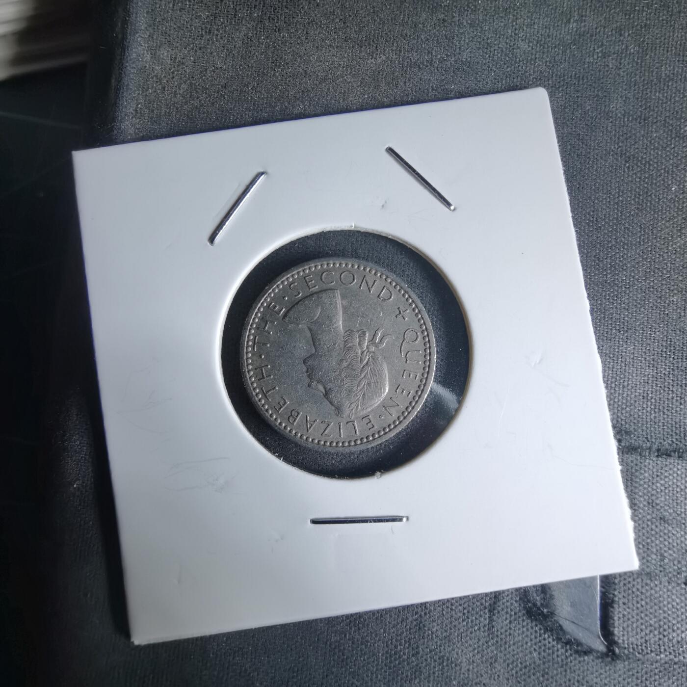 沼泽如烟--第990场