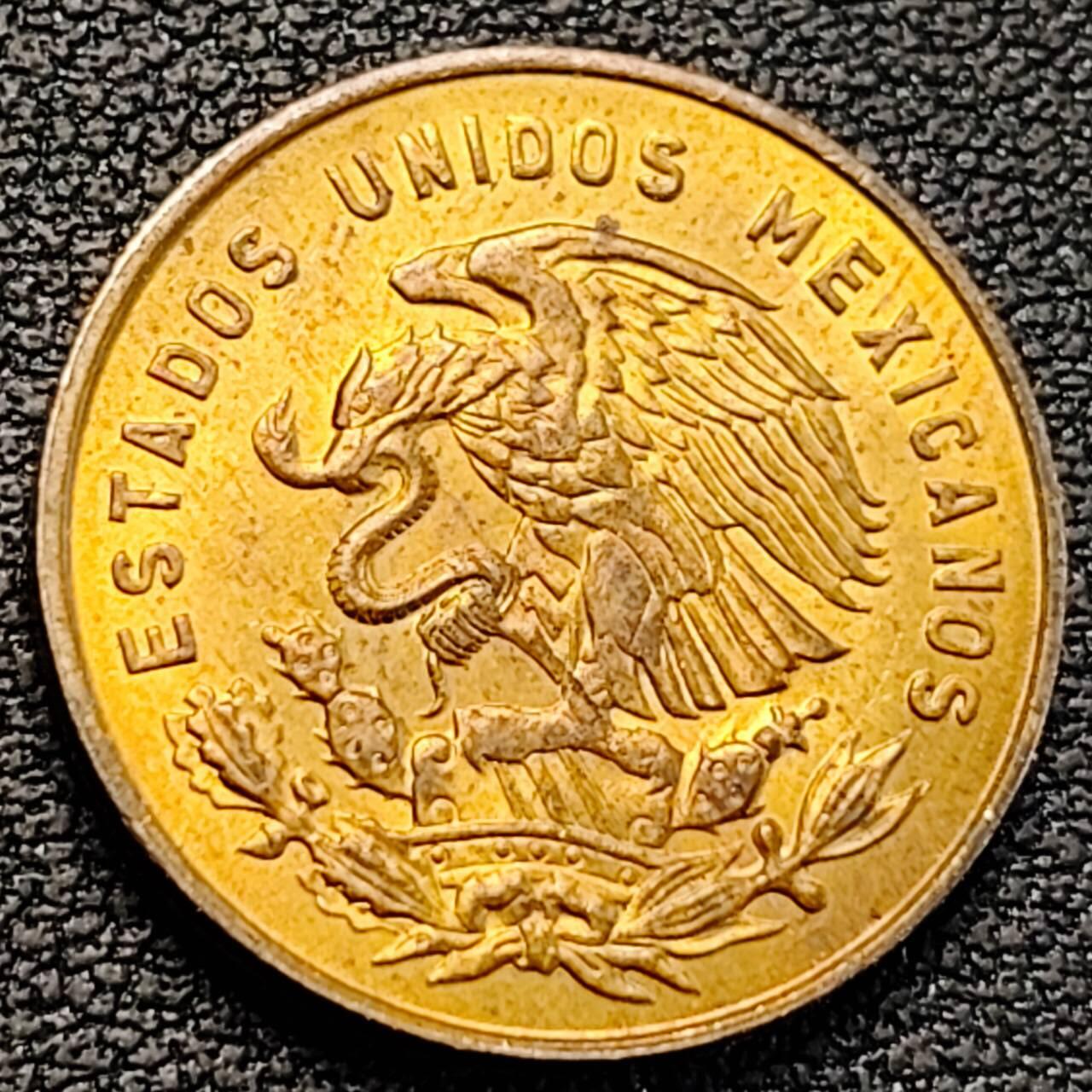 泉币菌-第189场- 精品福利场（192场和之前的 2月14日发货） 。