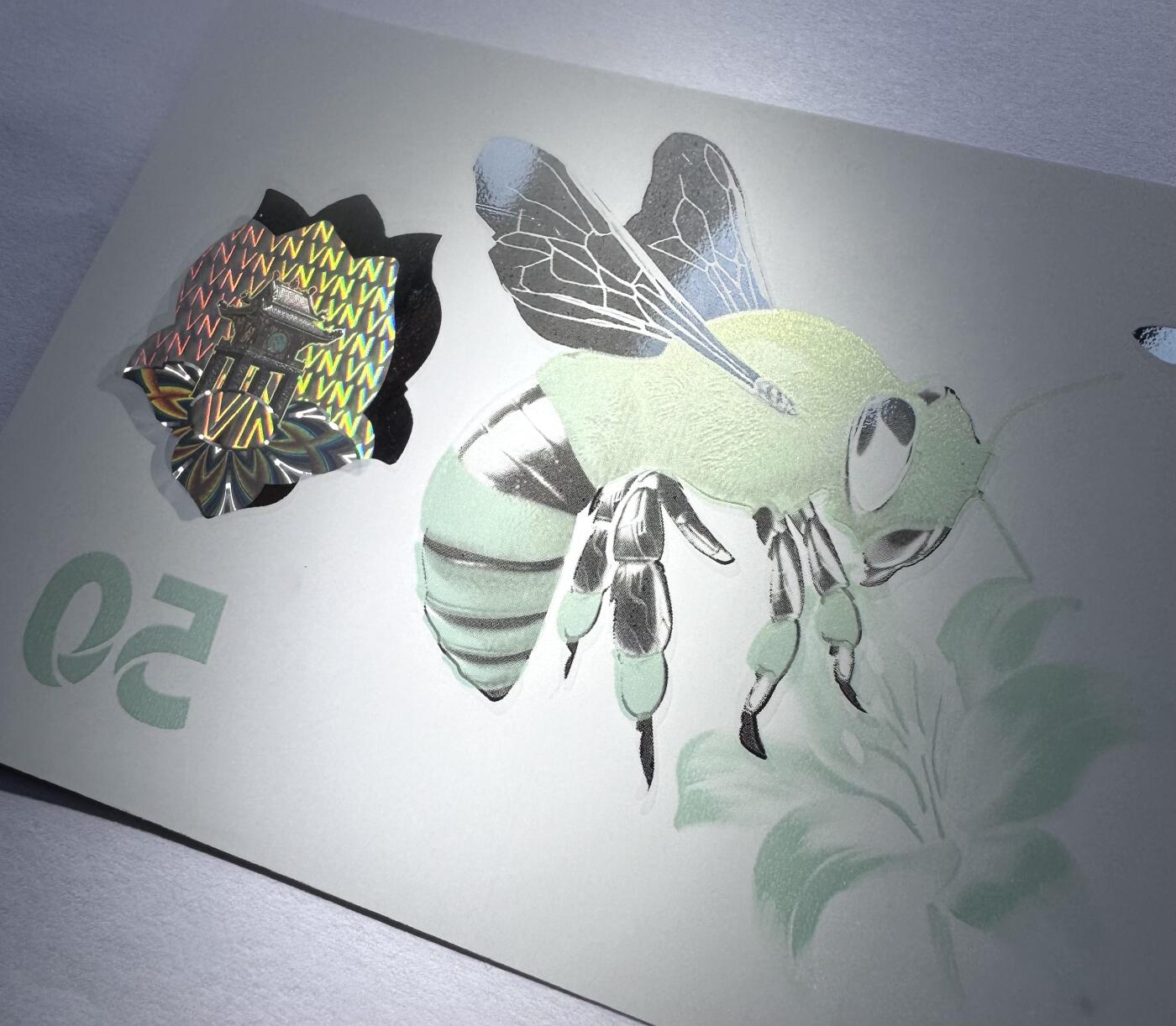 2026第3场（总第230期）：精品测试钞、外钞综合场 越南Q&T 最新PolySecure®Shield内置安全特征50面值塑料基材测试钞册装UNC（胡志明、蜜蜂、花）