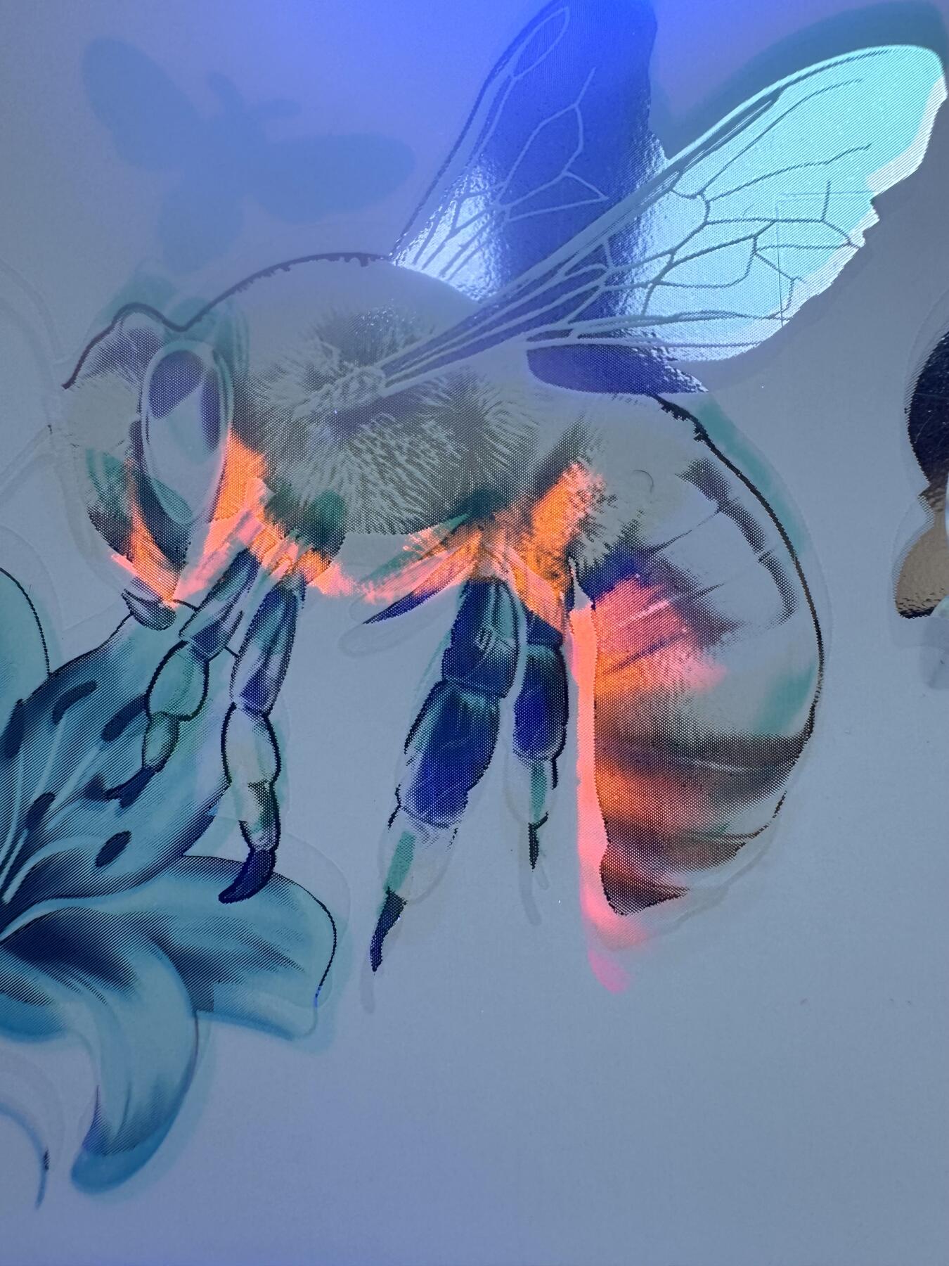 2026第3场（总第230期）：精品测试钞、外钞综合场 越南Q&T 最新PolySecure®Shield内置安全特征50面值塑料基材测试钞册装UNC（胡志明、蜜蜂、花）