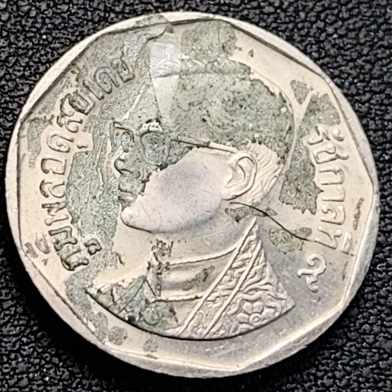 泉币菌-第186场- 小年快乐 精品福利场（本周五和之前的 2月14日发货）