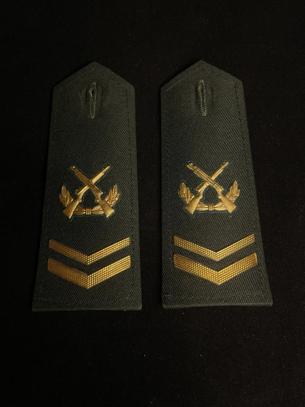 杂勋专场 南苏联AU07式常服肩章