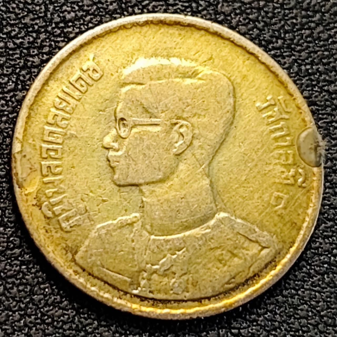 泉币菌-第186场- 小年快乐 精品福利场（本周五和之前的 2月14日发货）