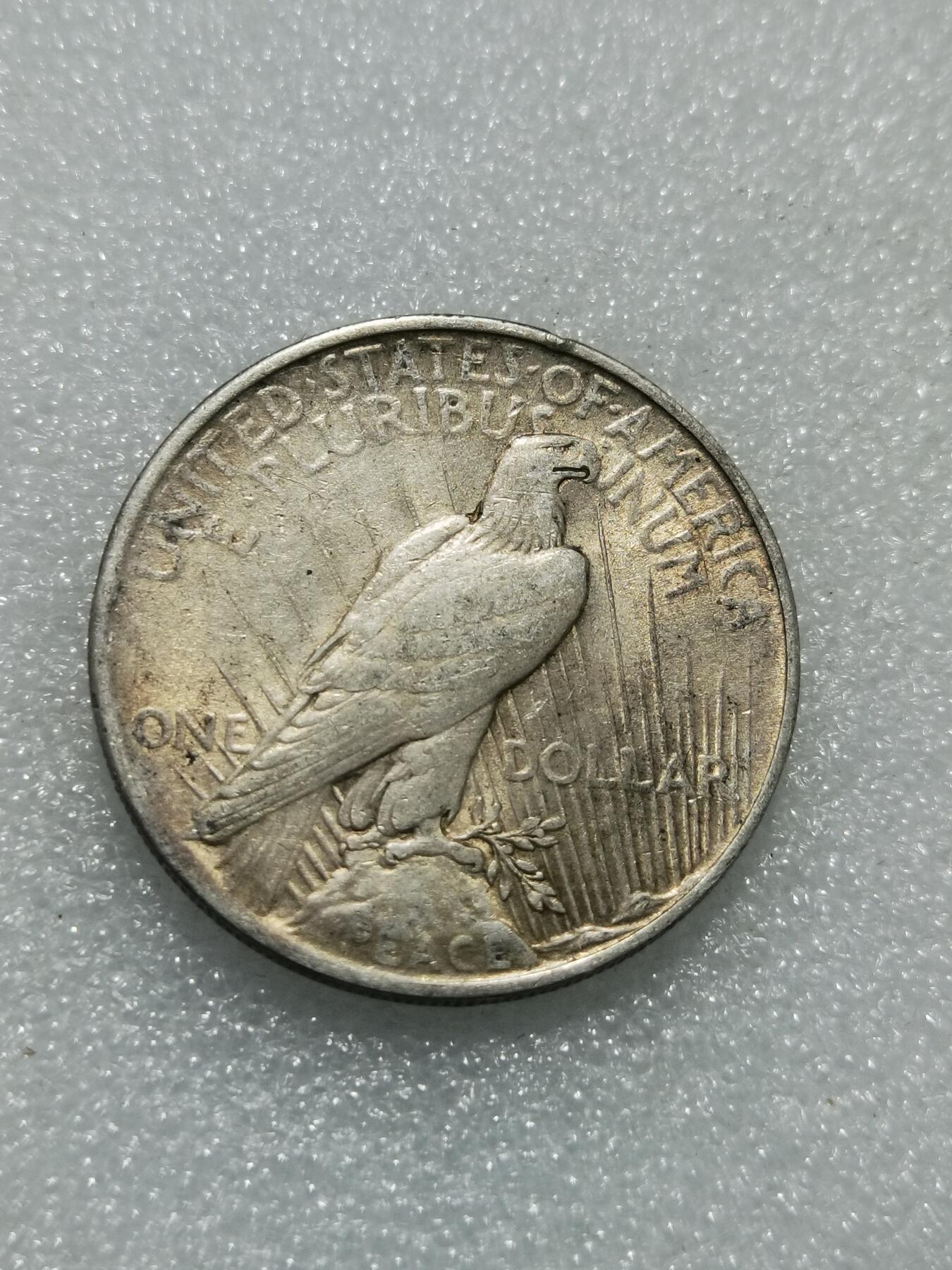 天下钱庄专场欢迎参拍 美国和平鸽一美元银币