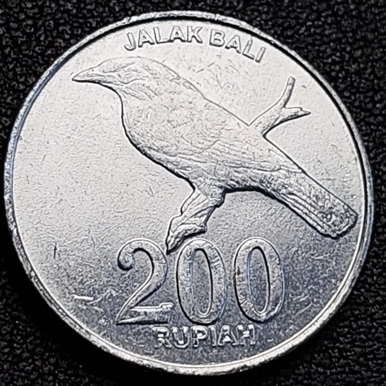 泉币菌-第189场- 精品福利场（192场和之前的 2月14日发货） 。