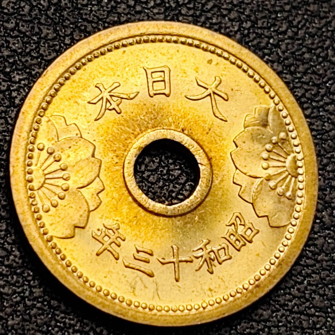 泉币菌-第188场- 精品福利场（192场和之前的 2月14日发货） 。