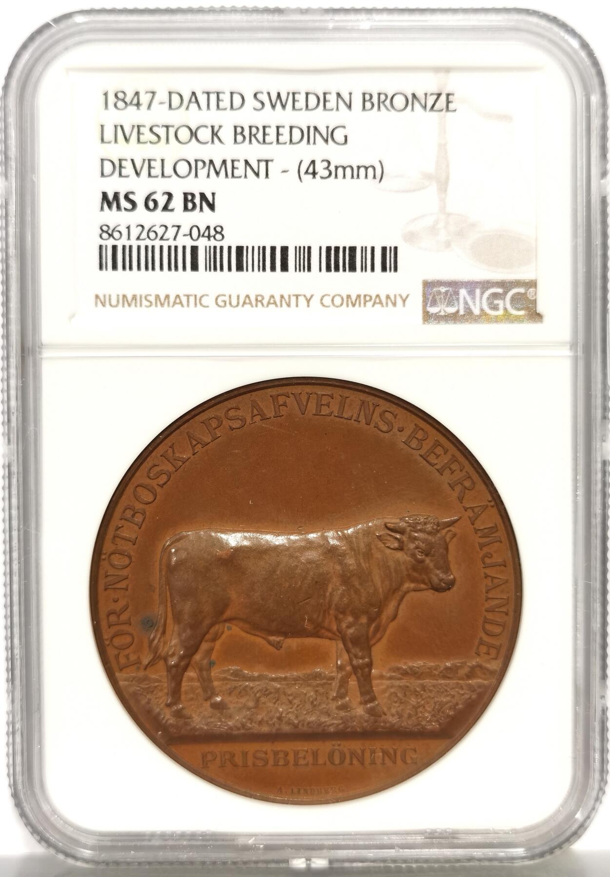 博洋堂蛇年收官专场暨第161期（全场包邮）