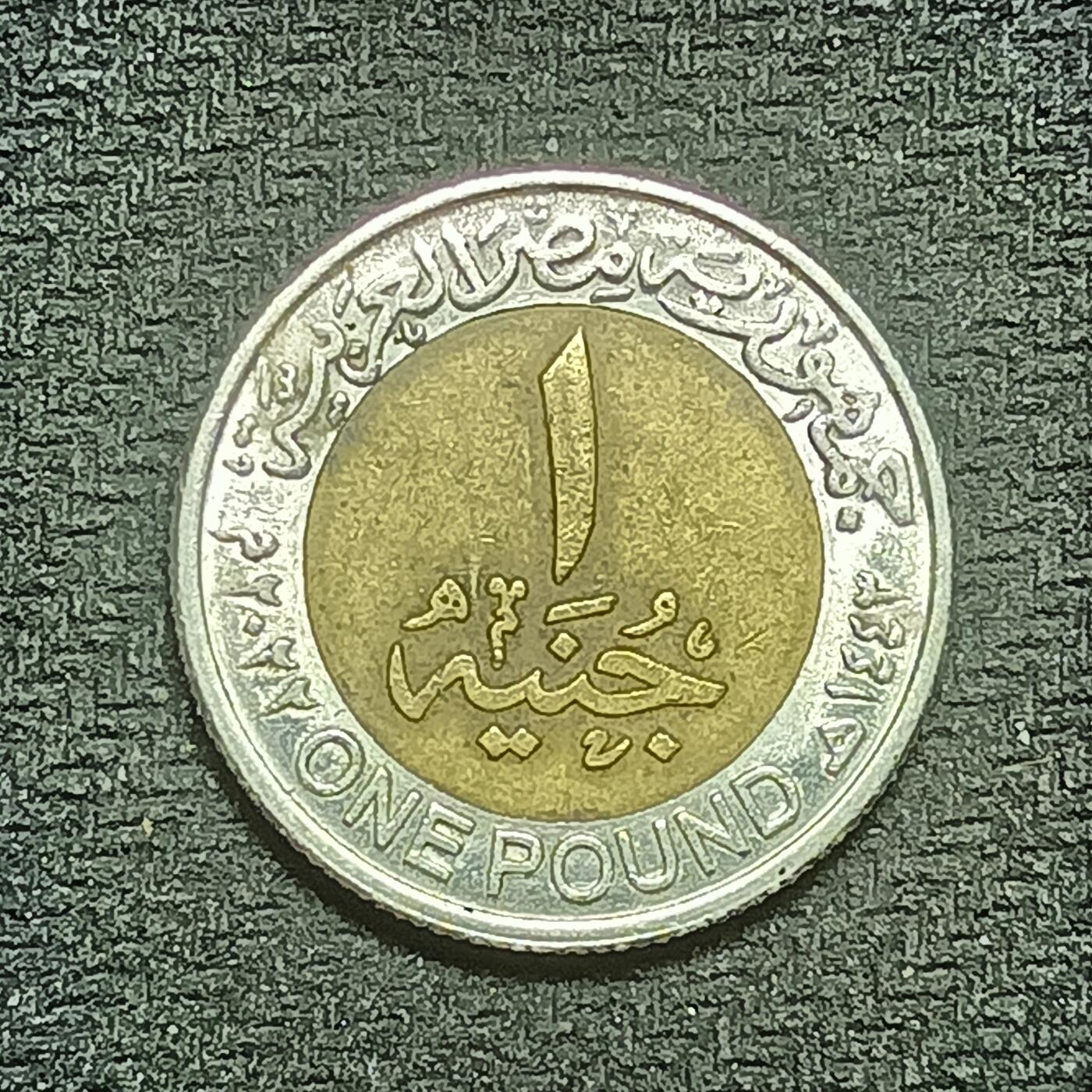 逸泉钱币2026B第十场世界钱币纪念币专场B1231-1615 1436埃及1镑