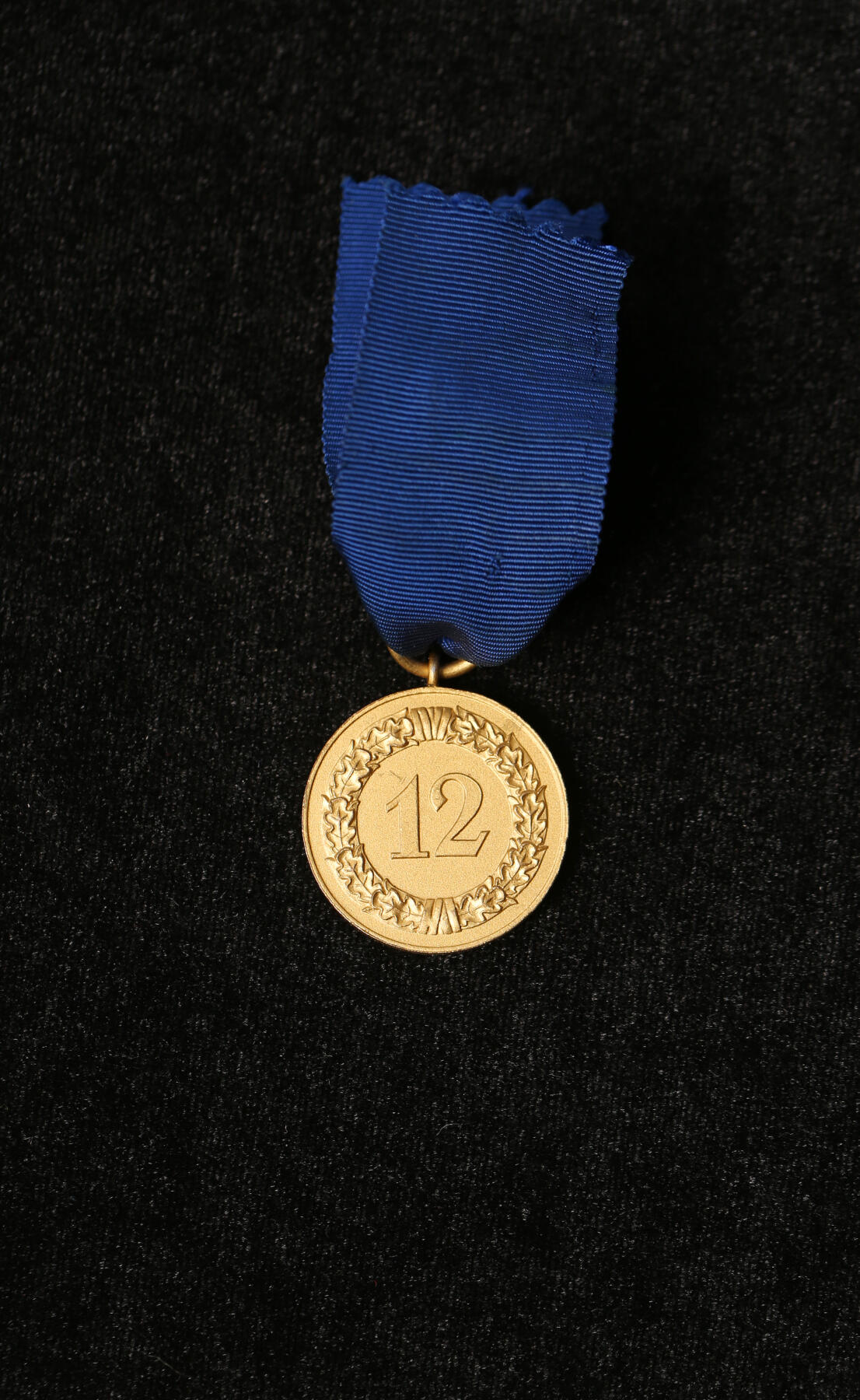 欢庆春节！戎马世界章牌大赏第112期春节大拍  德专场