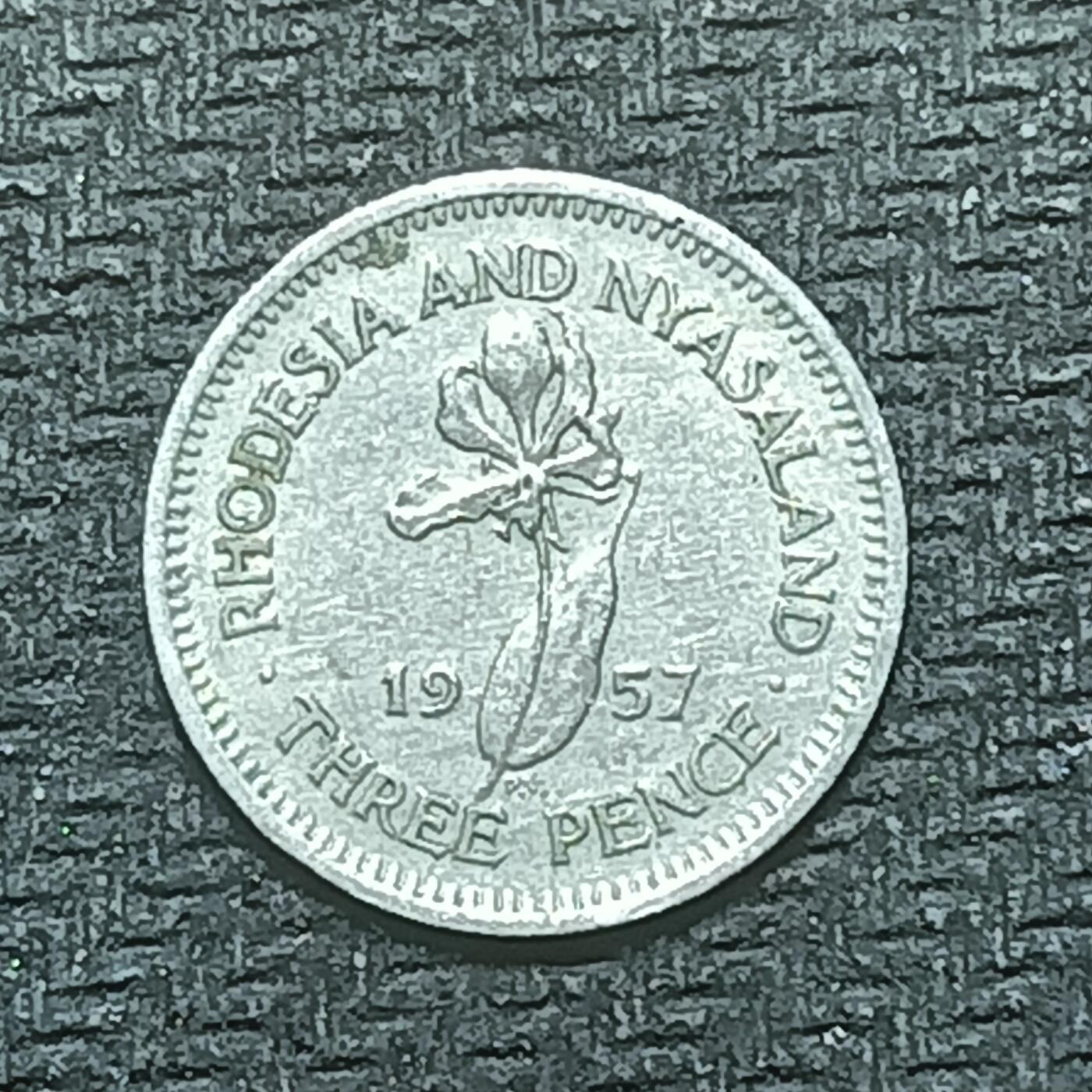 逸泉钱币2026B第十场世界钱币纪念币专场B1231-1615 1476罗得西亚和尼亚萨兰3便士