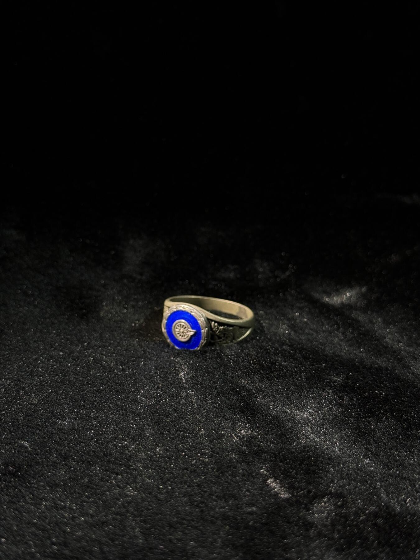 欢庆春节！戎马世界章牌大赏第111期春节大拍