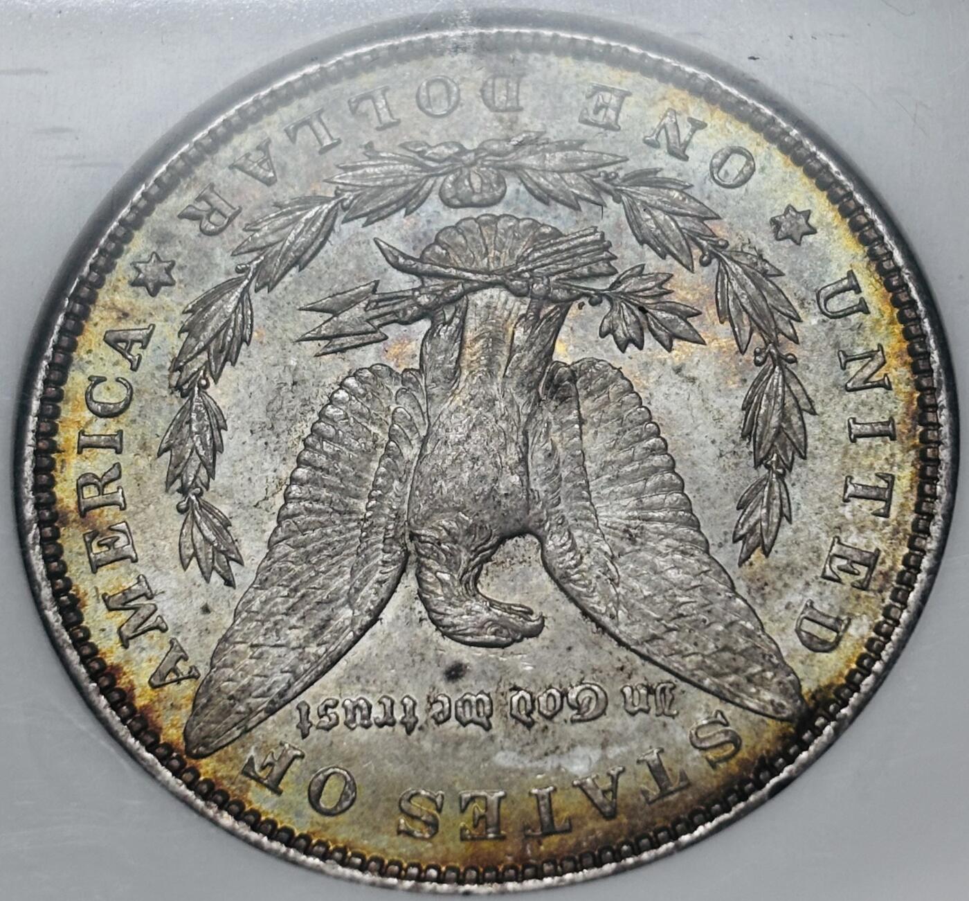 【金马踏春，泉马奔腾】2026 年新年贺岁场，（定于年初五接财神截拍）祝各位老板马到成功，马上有钱，愿岁岁平安喜乐顺遂 NGC MS64 分 1889 年美国摩根一元银元，正儿八经老盒子严评，五彩环边原炫光足