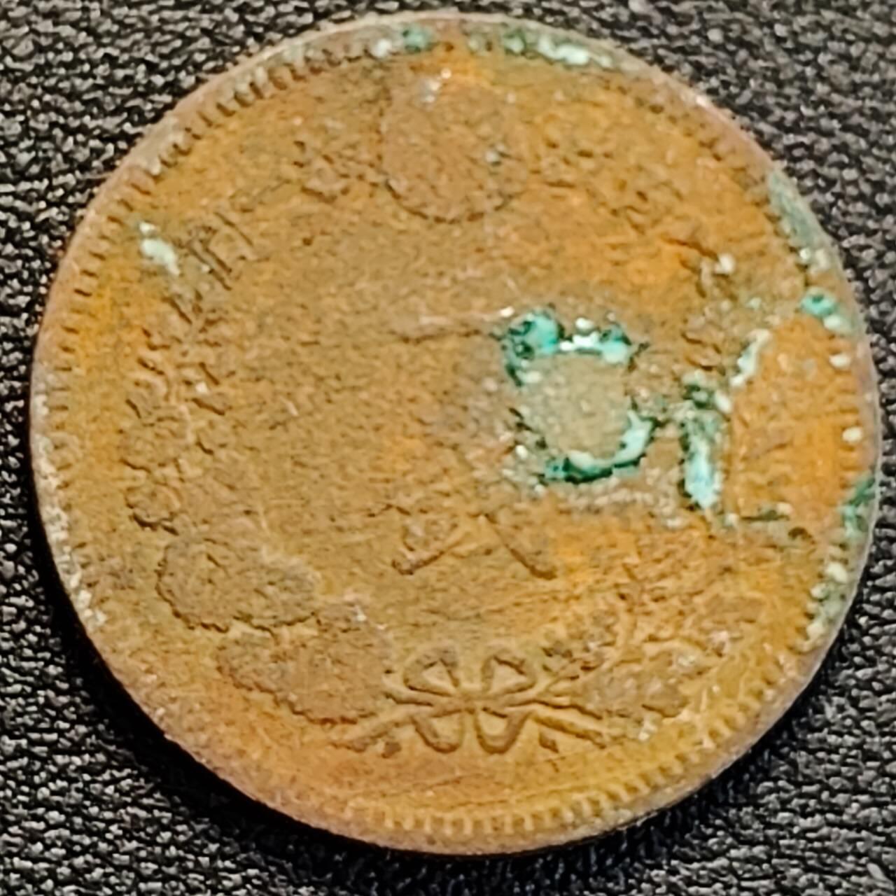 泉币菌-第188场- 精品福利场（192场和之前的 2月14日发货） 。