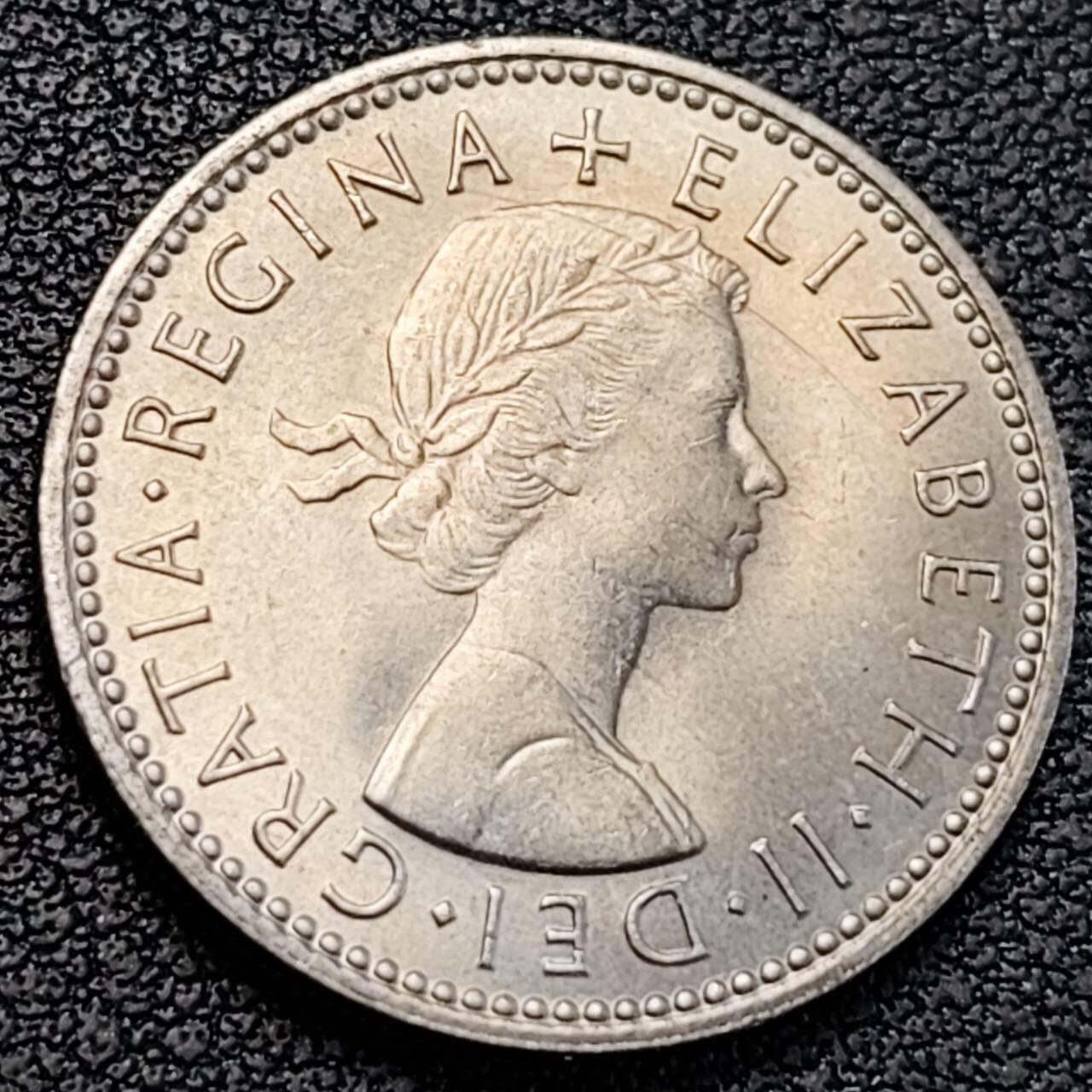 泉币菌-第188场- 精品福利场（192场和之前的 2月14日发货） 。