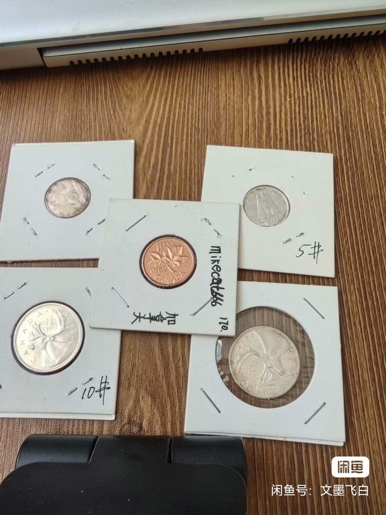 加拿大银币4枚合计纯银12.84克，另送一枚一加分精制币