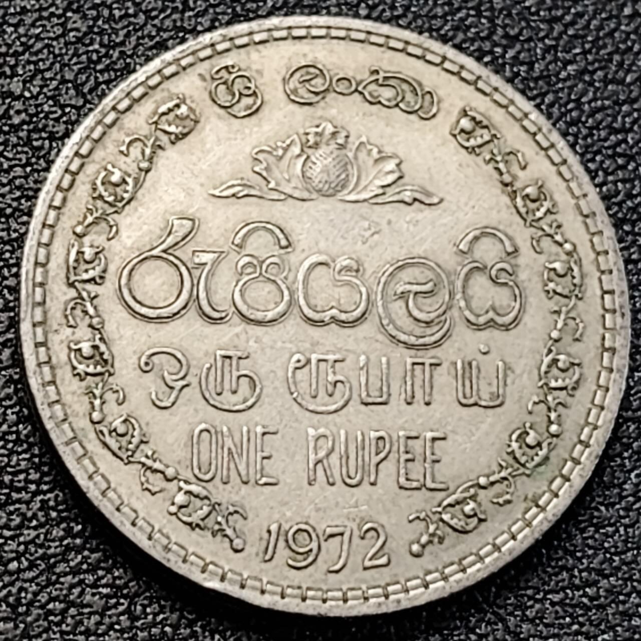 泉币菌-第189场- 精品福利场（192场和之前的 2月14日发货） 。