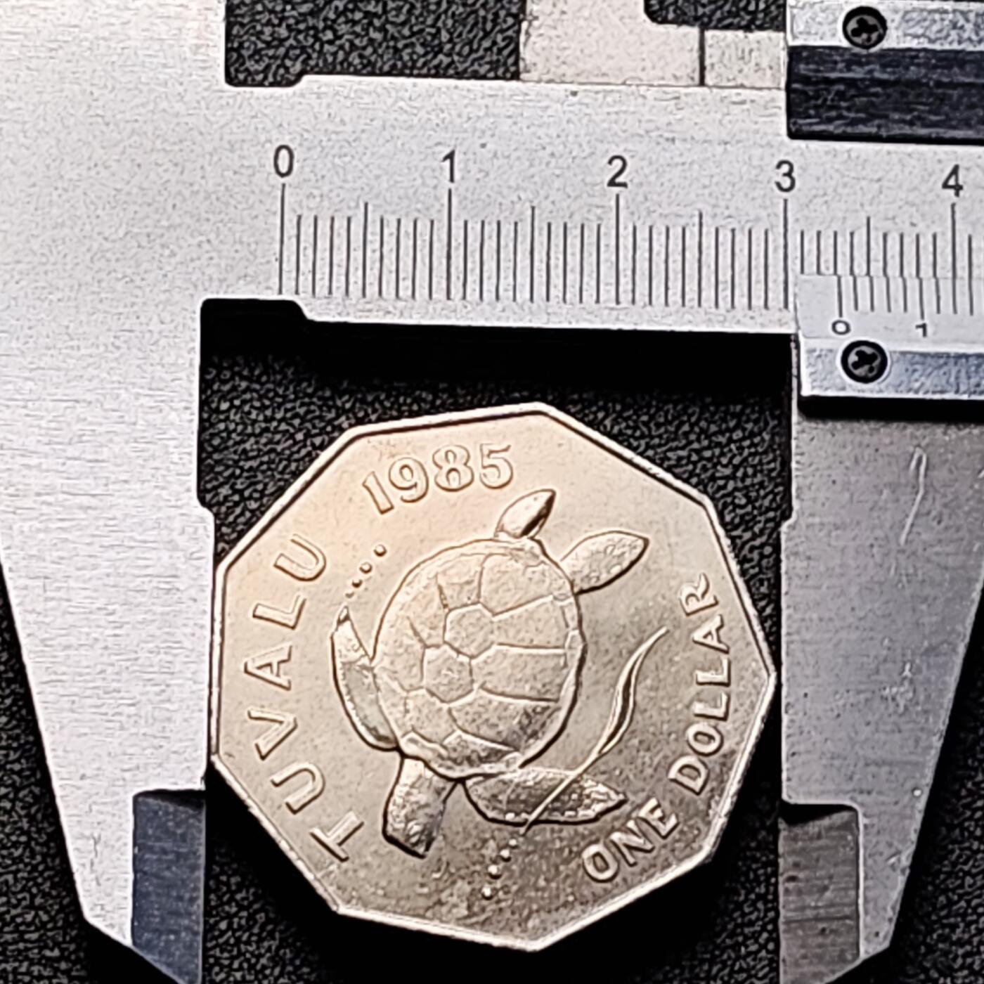 泉币菌-第189场- 精品福利场（192场和之前的 2月14日发货） 。