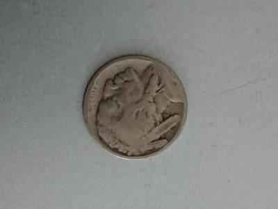 松南世界钱币——260209 - 美国牦牛