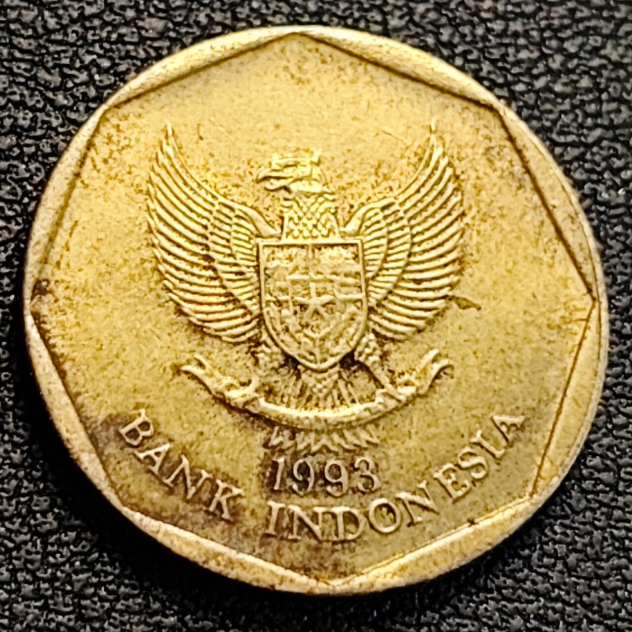 泉币菌-第186场- 小年快乐 精品福利场（本周五和之前的 2月14日发货）