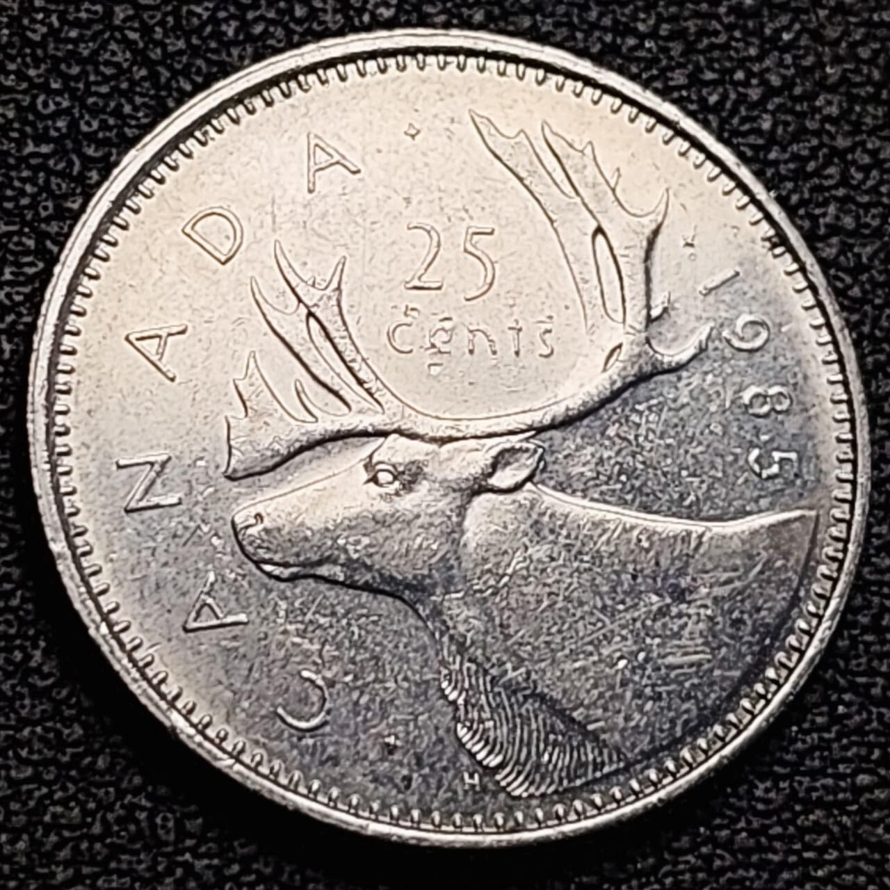 泉币菌-第186场- 小年快乐 精品福利场（本周五和之前的 2月14日发货） 高币值 加拿大1985年1/4加拿大元 伊丽莎白二世 驯鹿 24mm 