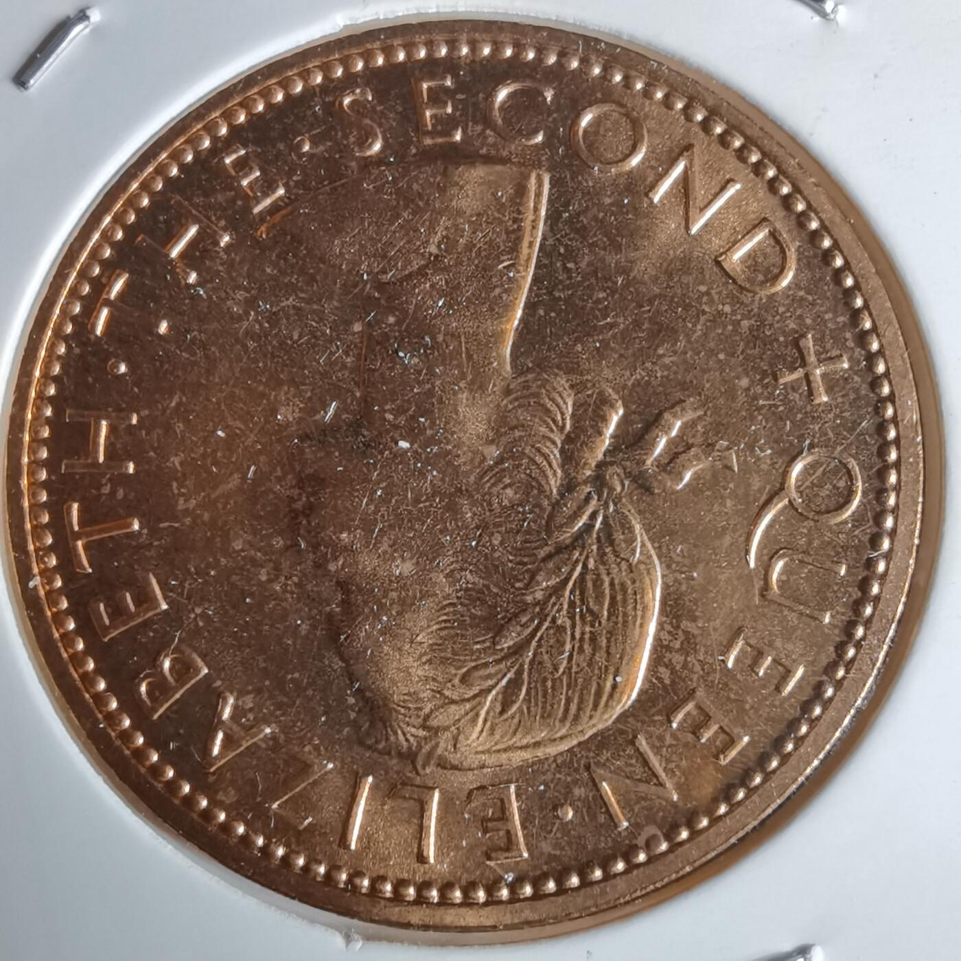 沼泽如烟--第990场