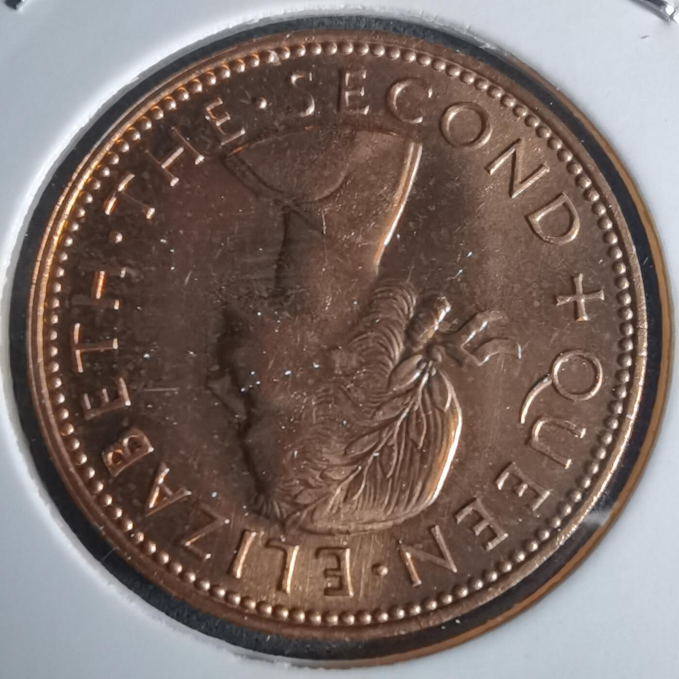 沼泽如烟--第990场