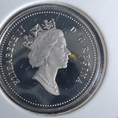 沼泽如烟--第990场 - 加拿大1993年5分精制币