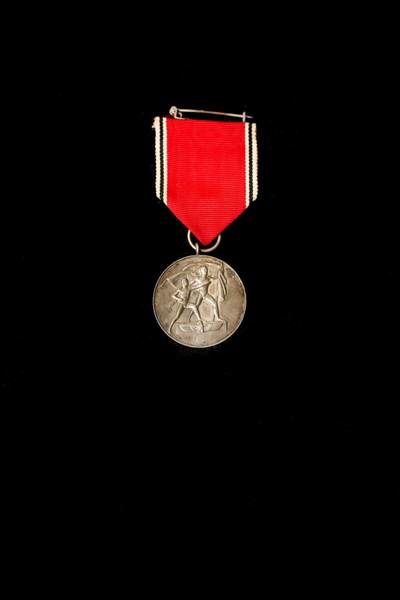 欢庆春节！戎马世界章牌大赏第112期春节大拍  德专场 - 奥地利回归奖章