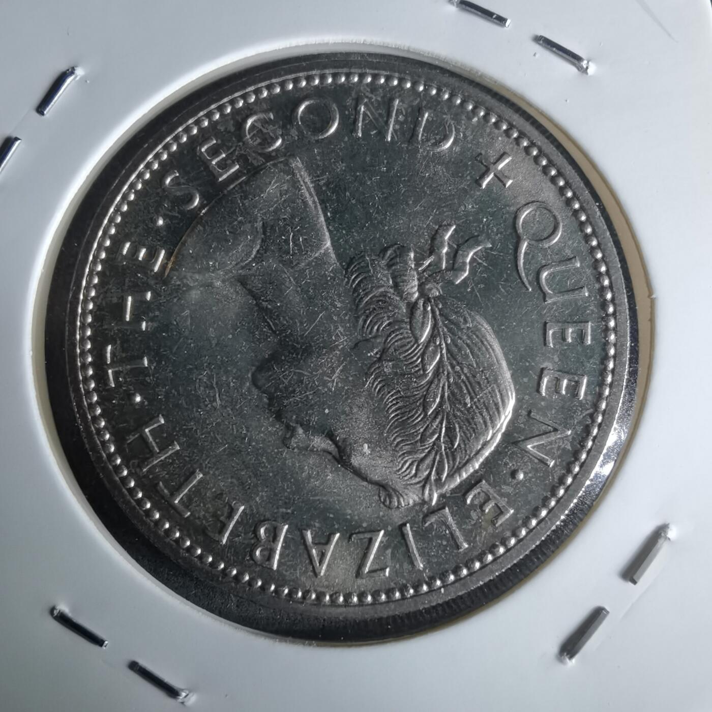 沼泽如烟--第990场