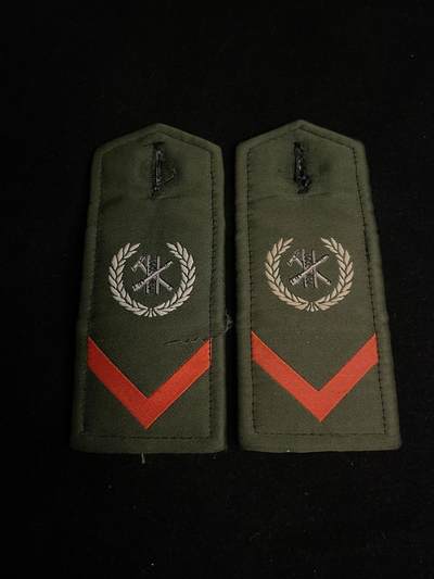 杂勋专场 - 肩章一副