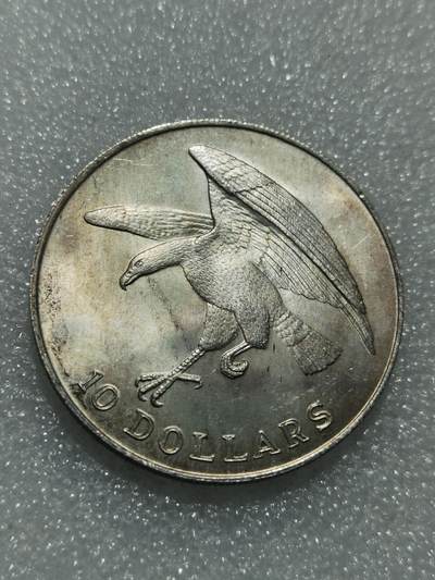 天下钱庄专场欢迎参拍 - 1973新加坡海鹰10元银币