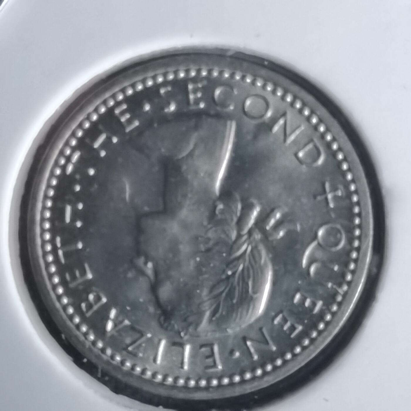 沼泽如烟--第990场