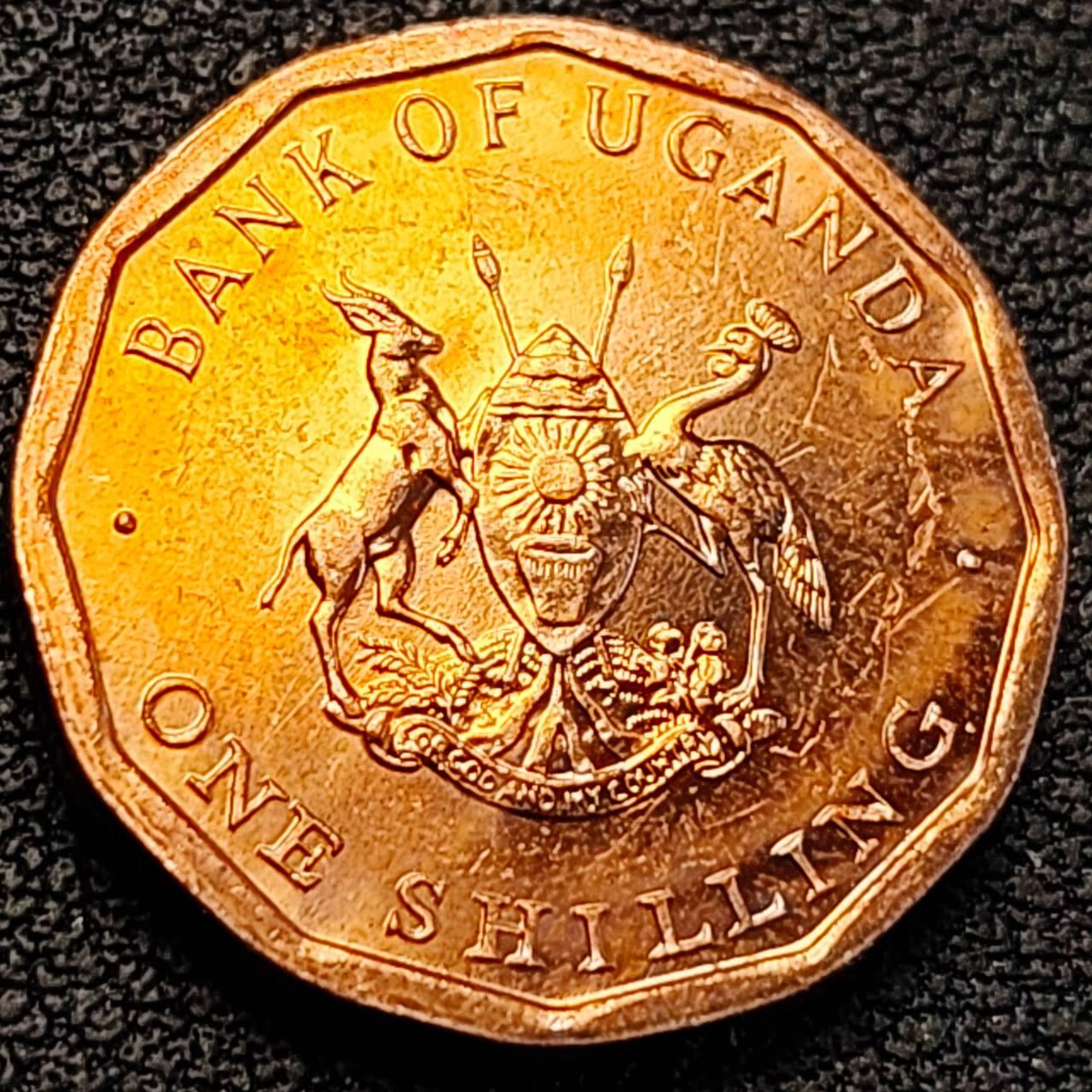 泉币菌-第188场- 精品福利场（192场和之前的 2月14日发货） 。