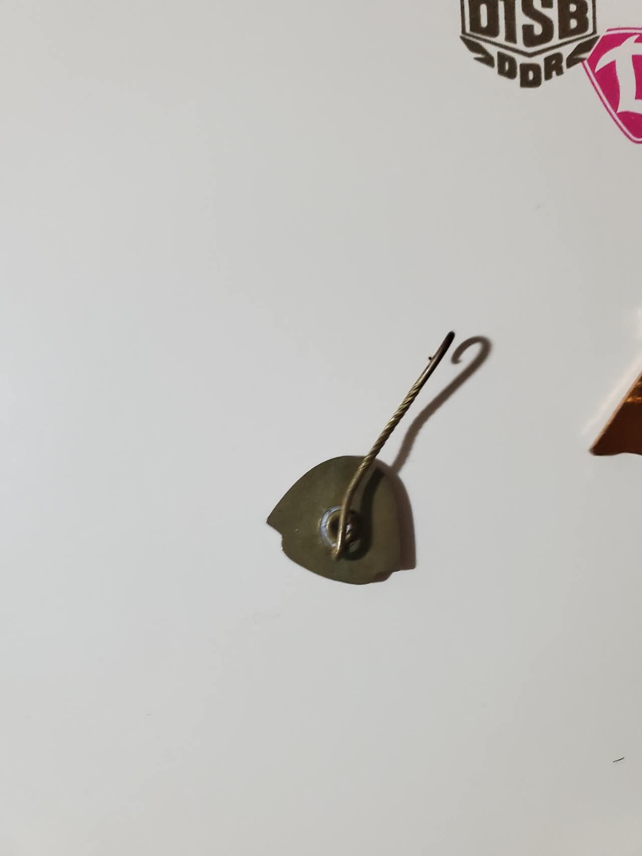 韵星假日军品类拍卖第40期 -- Rimey Holidays Militaria Auction 40 民主德国dtsb体能体育协会 资深成员证章、插针带证书一套