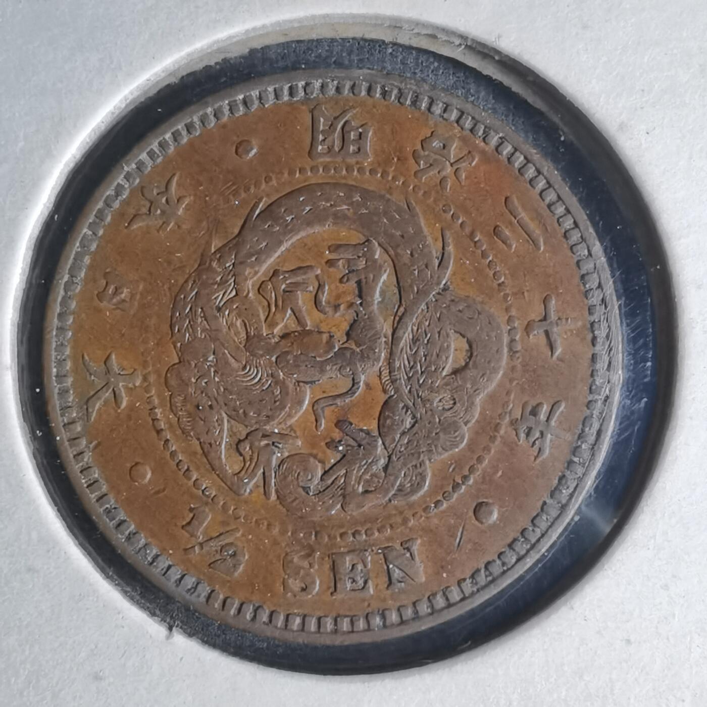 沼泽如烟--第990场