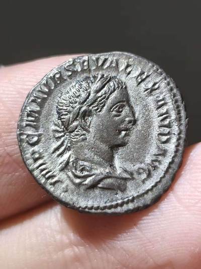 星盘世界钱币二月二十一日初五 世界古典币春节精品大拍 祝各位藏友马年大吉-新年新气象！ - 极美品！罗马帝国 公元222-235年打制 亚历山大塞维鲁 早期过渡第纳尔银币 这个人像的版不多（常被误以为是埃拉加巴鲁斯）非常好的品相 经典老藏家欧陆包浆