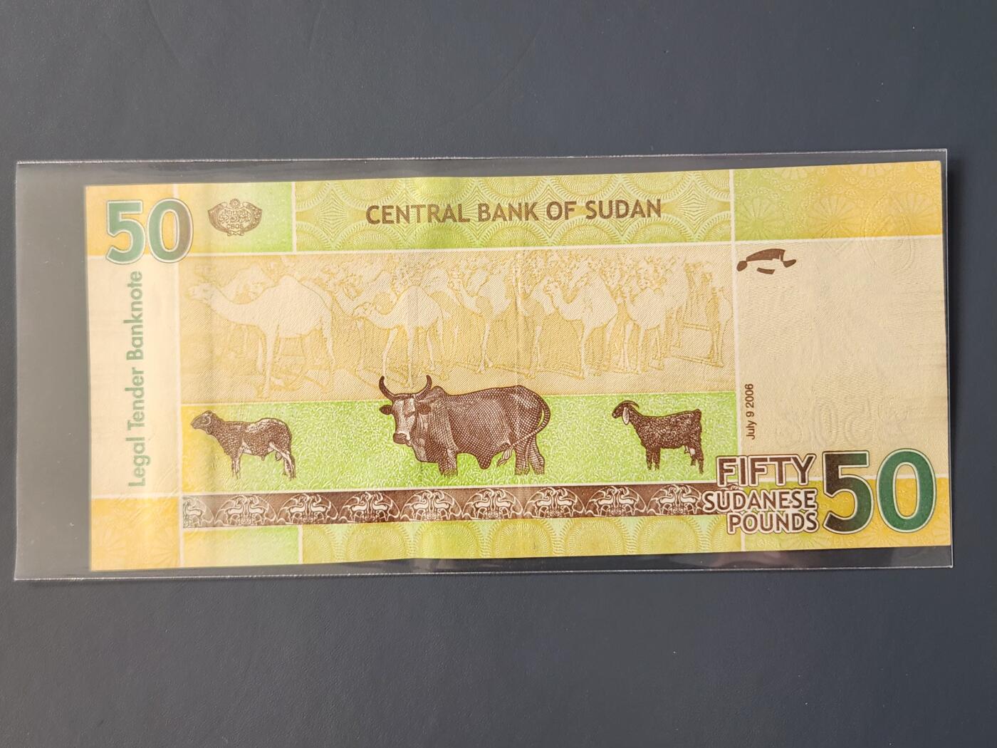 2月10号晚上8点 外国纸币自动截拍第23场 新品 FA 首发