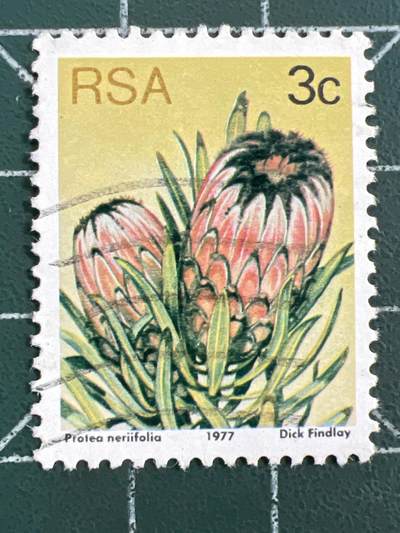 第1123  邮票专场 （无押金，捡漏，全场50包邮，偏远地区除外，接收代拍业务，本店十天发一次货） - 南非邮票